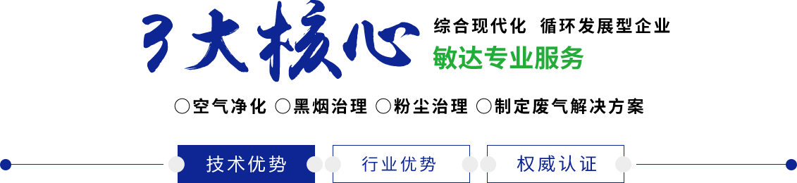 大鸡巴疯狂操逼视频敏达环保科技（嘉兴）有限公司